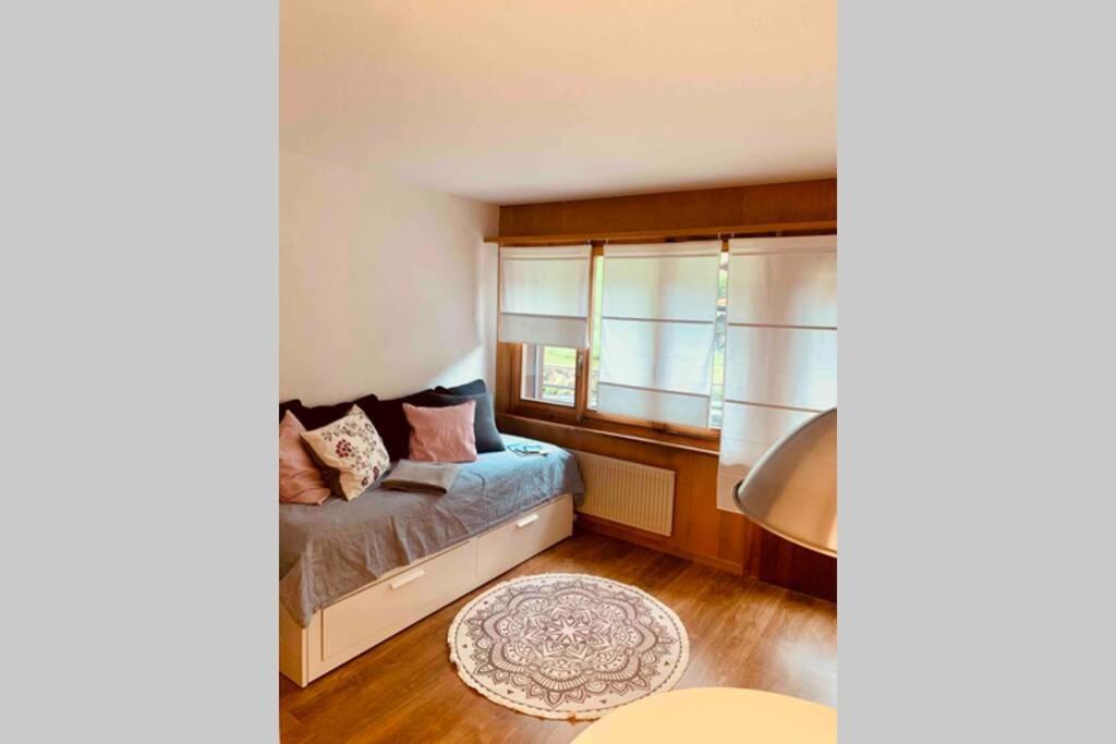 Studio Im Modernen Alpenstyle Adelboden Ngoại thất bức ảnh